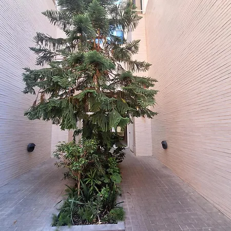 Piso Centro Duplex Y Con Gran Terraza Apartament *